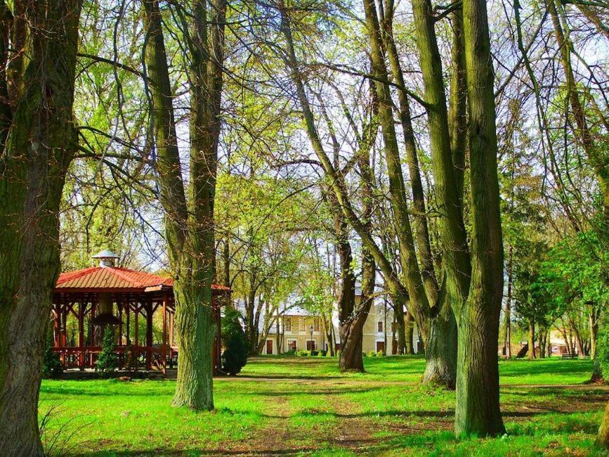 Hotel Rytwiany Palac Exterior foto